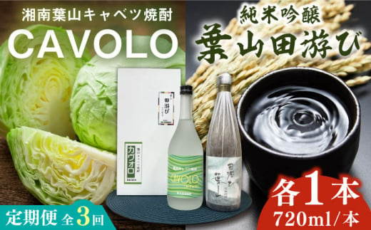 [全3回定期便]純米吟醸「葉山田游び」&湘南葉山キャベツ焼酎「CAVOLO」セット / お酒 純米吟醸 焼酎 日本酒 セット 葉山田游び CAVOLO 神奈川県 葉山町[リカーズかさはら] [ASBB007]