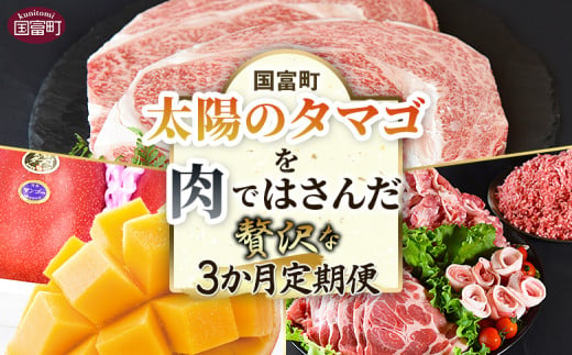 ＜太陽のタマゴを肉ではさんだ贅沢な3か月定期便＞2025年4月から順次出荷【 定期便 宮崎牛 黒毛和牛 ロースステーキ ロース 太陽のタマゴ マンゴー 完熟マンゴー 豚肉 セット 豚ロース 肩ローススライス モモスライス 切り落とし ミンチ  精肉 】