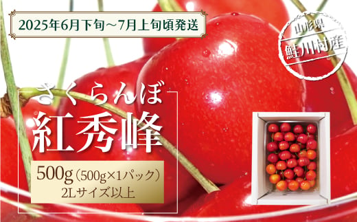 【令和7年産 早期受付】 鮭川村産さくらんぼ ＜紅秀峰＞ 特秀2Lサイズ以上バラ詰め 500g 1567702 - 山形県鮭川村