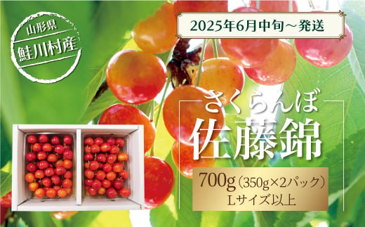 【令和7年産 早期受付】 鮭川村産さくらんぼ ＜佐藤錦＞ Lサイズ以上バラ詰め 700g 1567698 - 山形県鮭川村