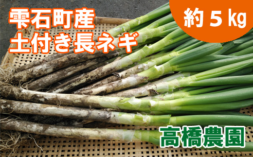 ＜令和６年産＞ 雫石町産 土付き長ネギ ５kg 【高橋農園】/ 長ねぎ 野菜 ねぎ ネギ 285211 - 岩手県雫石町