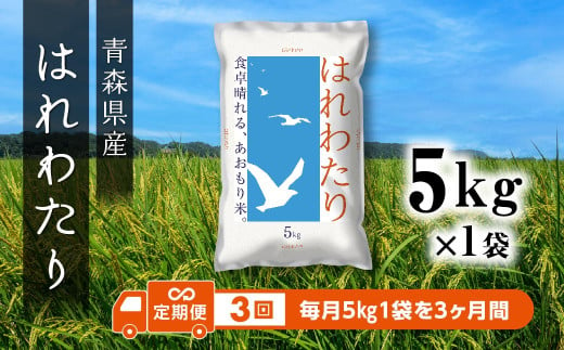 【3ヵ月定期便】 青森県産 はれわたり 5kg 5kg×1袋 合計15kg 令和6年産 米 精米 白米 お米 青森県産