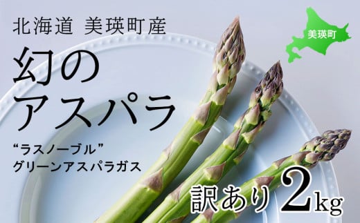 【2025年産！】【訳あり】北海道 美瑛町幻のアスパラ 本山農場のラスノーブル（グリーンアスパラ）2kg  | グリーン アスパラガス アスパラ あすぱら あすぱらがす 採れたて 新鮮 旬 産地直送 野菜[015-92] 1477352 - 北海道美瑛町