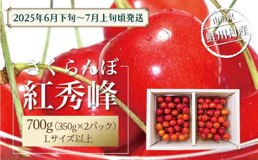 【令和7年産 早期受付】 鮭川村産さくらんぼ ＜紅秀峰＞ Lサイズ以上バラ詰め 700g 1567703 - 山形県鮭川村