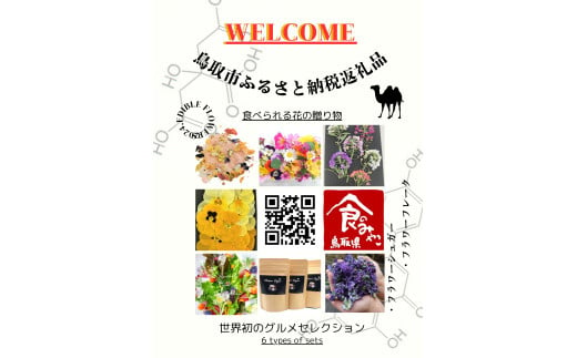 1705 食べられる花の贈り物 エディブルフラワー（食用花）6種セット