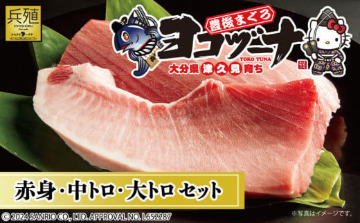 豊後まぐろ ヨコヅーナ 贅沢セット 赤身250g 中トロ500g 大トロ250g入りの豪華セット 大分県産 九州産 津久見市 