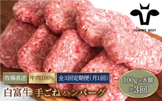 【牧場直送】【3回定期便】白富牛 岩塩と牛肉のみで作った手ごねハンバーグ 100g×8個【有限会社佐賀セントラル牧場】 [IAH054] 273530 - 佐賀県白石町