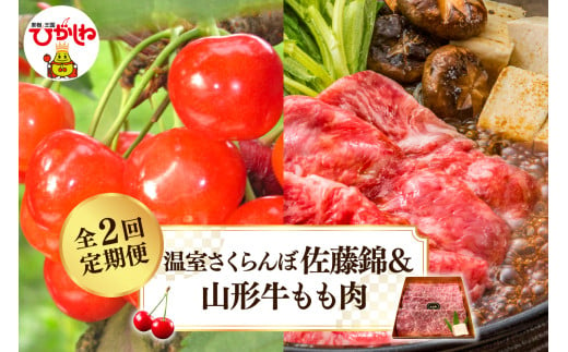 【2025年 先行予約】温室さくらんぼ佐藤錦＆山形牛もも肉 全２回定期便 (2025年4月からスタート) 山形県 東根市 hi026-017-1