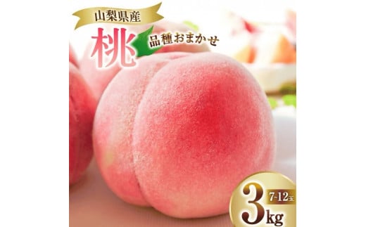 桃 約3kg(7～12玉入)【厳選数量限定】山梨県甲州市産桃 産地直送【2025年発送】（ORJ）B18-801 【桃 もも モモ 令和7年発送 期間限定 山梨県産 甲州市 フルーツ 果物】 874124 - 山梨県甲州市