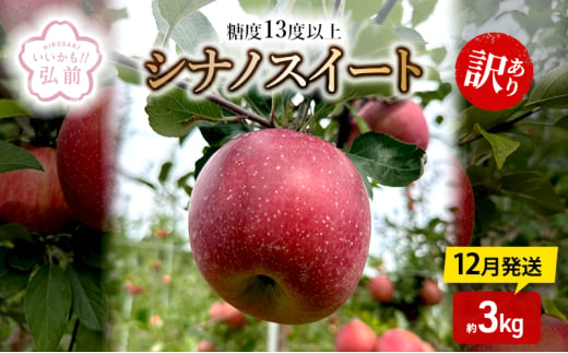 りんご 【 12月発送 】 糖度13度以上 訳あり シナノスイート 約 3kg 【 弘前市産 青森りんご 】 1558492 - 青森県弘前市