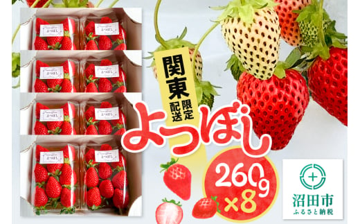 《2025年1月以降発送》関東限定配送 イチゴ よつぼし 約260gパック×8 1553757 - 群馬県沼田市