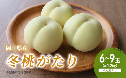 桃 2025年 先行予約 冬桃がたり 6～9玉（約1.2kg）化粧箱入り もも モモ 岡山県産 国産 フルーツ 果物 セット ギフト [№5735-2043]