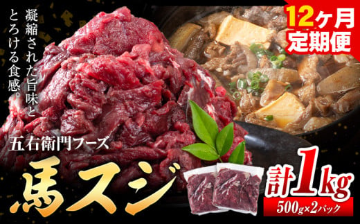 馬肉 馬スジ 500g × 2パック 12kg 12ヶ月定期便 五右衛門フーズ 《お申込み月の翌月から出荷開始》 熊本県 球磨郡 山江村 馬肉 肉 国産 スジ カレー 煮込み おでん おかず 送料無料