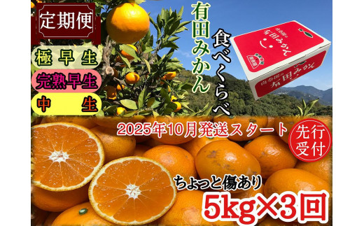 定期便 先行受付 2025年 10月発送スタート 有田みかん 食べくらべ 3種 ちょっと傷あり 5kg × 3回 コース 南泰園