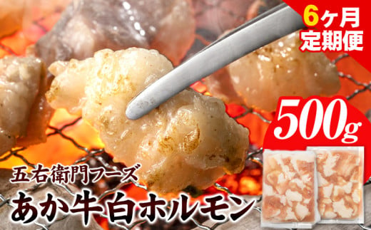 あか牛 白ホルモン 3kg 6ヶ月定期便 五右衛門フーズ 《お申込み月の翌月から出荷開始》 熊本県 球磨郡 山江村 牛肉 肉 国産 熊本県産 ブランド牛 絶品 贅沢 高級 あか牛 ホルモン もつ モツ もつ鍋