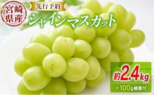 先行予約 シャインマスカット 3～4房 約2.4kg+100g補償付 宮崎県産【C433-25】