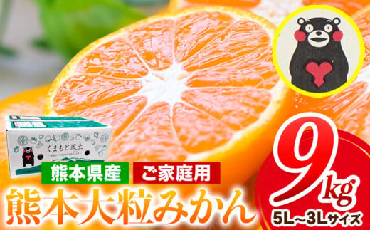 みかん 訳あり 大玉 大粒 ミカン 9kg 熊本 ちょっと 訳あり 傷 5L～3Lサイズ たっぷり 熊本県産(荒尾市産含む) 熊本県 期間限定 フルーツ 旬 柑橘 ご家庭用 荒尾市 大粒《2025年1月中旬-2月末頃より出荷予定》果物 1557513 - 熊本県荒尾市