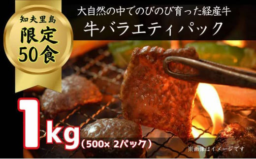 限定50セット【知夫里島】経産牛焼肉用バラエティーミックス１ｋｇ（500g×2パック） 1582146 - 島根県知夫村