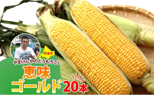 [№5525-1111]やまけんや とうもろこし 恵味ゴールド 20本 スイートコーン コーン 甘い サラダ スープ 生でも美味しい 産地直送 BBQ とうきび 国産 人気 バーベキュー 焼きとうもろこし 取り寄せ 糖度 北海道 伊達市 1565206 - 北海道伊達市