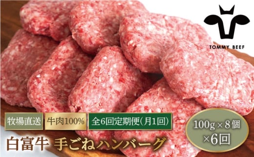 【牧場直送】【6回定期便】白富牛 岩塩と牛肉のみで作った手ごねハンバーグ 100g×8個【有限会社佐賀セントラル牧場】 [IAH055] 273531 - 佐賀県白石町