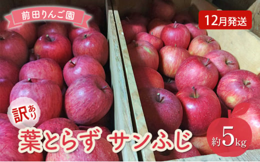 りんご 【 12月発送 】 前田りんご園 訳あり 葉とらず サンふじ 約 5kg 【 弘前市産 青森りんご 】 1558510 - 青森県弘前市