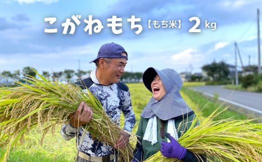 No.3010【令和6年産 新米先行受付】たきちゃん農場のこがねもち（もち米）2kg