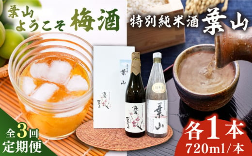 [全3回定期便]特別純米酒「葉山」&葉山ようこそ梅酒セット / お酒 梅酒 うめ酒 特別純米酒 純米酒 葉山 葉山ようこそ 神奈川県 葉山町 セット[リカーズかさはら] [ASBB010]