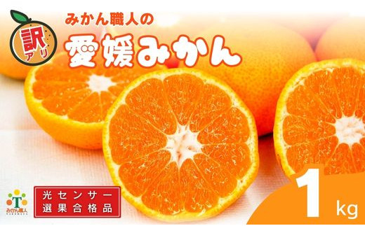 訳あり 愛媛みかん 1kg 人気 みかん 冬 秋 旬 糖度 糖度計 厳選 光センサー選果 柑橘 かんきつ 果物 くだもの 国産  少量 お試し フルーツ スイーツ デザート ご褒美 みかん 蜜柑 大小 サイズ ミックス 不揃い 傷 温州 温州みかん ビタミン 美味しい 農家直送 地場産品 こだわり みかん職人武田屋 愛媛県 愛南町