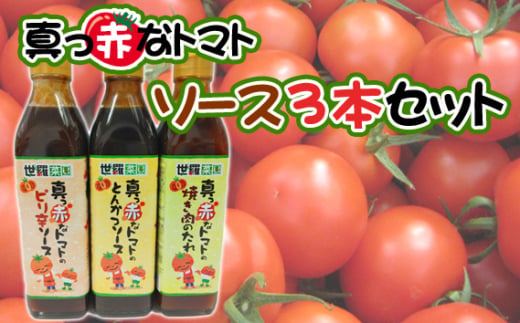 No.288 真っ赤なトマトソース3本セット ／ 調味料 ピリ辛 たれ とまと 酸味 世羅菜園 広島県 1570109 - 広島県世羅町