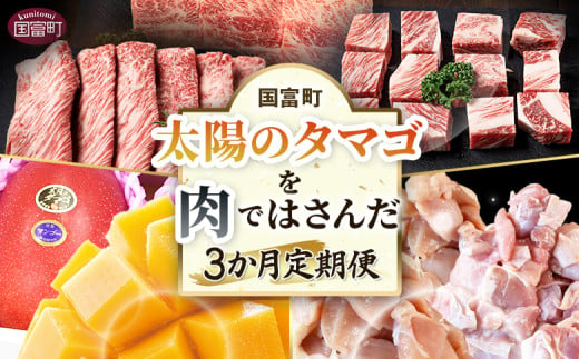 ＜太陽のタマゴを肉ではさんだ3か月定期便＞2025年4月から順次出荷【 定期便 宮崎牛 黒毛和牛 肩ロース肉 サイコロステーキ 牛肉 焼き肉 焼肉 スライス 太陽のタマゴ マンゴー 完熟マンゴー 若鶏 切身 切り身 鶏肉 精肉 】