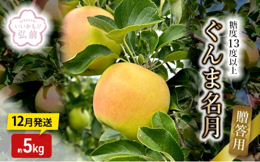 りんご 【 12月発送 】 糖度13度以上 ぐんま名月 おもてなし用 約 5kg 【 弘前市産 青森りんご 】 1558481 - 青森県弘前市