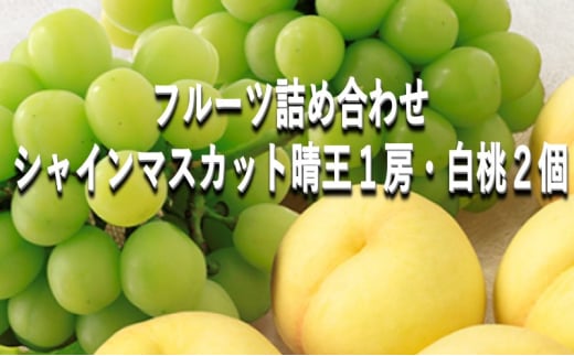 [№5615-0629]桃 ぶどう 【2025年 早期受付】 フルーツ詰め合わせ シャインマスカット 晴王 １房・ 白桃 ２個 もも ブドウ 葡萄 岡山県産 国産 フルーツ 果物 ギフト