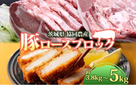 豚 ロース ブロック 2分割 約3.8kg ～ 5kg 肉 豚肉 ポーク 豚ロース 国産 ポークソテー ローストポーク しょうが焼き とんかつ ロースハム 角煮 真空パック 人気 お取り寄せ 茨城県 結城市 [№5802-0500] 697702 - 茨城県結城市