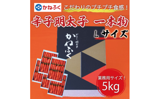 かねふく 1kg 辛子明太子 Lサイズ(1本物)5箱 [a0557] 藤井乾物店 ※配送不可：離島【返礼品】添田町 ふるさと納税