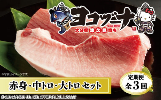 【定期便3回】豊後まぐろヨコヅーナ贅沢セット全3回 赤身250g 中トロ500g 大トロ250g入りの豪華セット 大分県産 九州産 津久見市