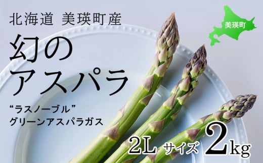 【2025年産！】北海道 美瑛町幻のアスパラ 本山農場のラスノーブル（グリーンアスパラ）2Lサイズ 2kg  | グリーン アスパラガス アスパラ あすぱら あすぱらがす 採れたて 新鮮 旬 産地直送 野菜[024-39] 1477313 - 北海道美瑛町