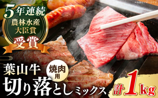 【葉山牛】1kg　焼肉用ミックス（ロース、モモ、カルビ等 4種類 ) / 牛肉 黒毛和牛 神奈川県 特産品【葉山牛ステーキレストラン 角車】 [ASBD013] 1557888 - 神奈川県葉山町