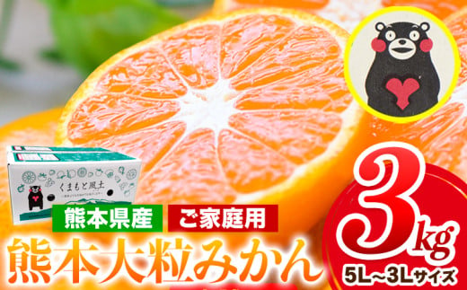 みかん 訳あり 大玉 大粒 ミカン 3kg 熊本 ちょっと 訳あり 傷 5L～3Lサイズ たっぷり 熊本県産(荒尾市産含む) 熊本県 期間限定 フルーツ 旬 柑橘 ご家庭用 荒尾市 大粒《2025年1月中旬-2月末頃より出荷予定》果物 1557512 - 熊本県荒尾市