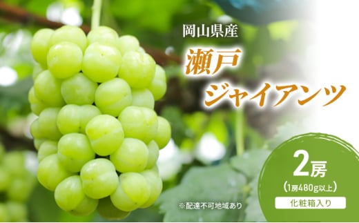 ぶどう 2025年 先行予約 瀬戸ジャイアンツ 2房(1房480g以上) 化粧箱入り ブドウ 葡萄 岡山県産 国産 フルーツ 果物 ギフト [№5735-2050]