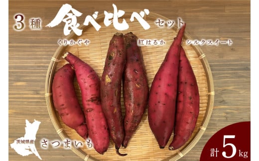 【数量限定】さつまいも 3種食べ比べセット 合計5kg 詰め合わせ（紅はるか・シルクスイート・くりかぐや） 茨城県産 サツマイモ 焼き芋 ホクホク 野菜（CH002）