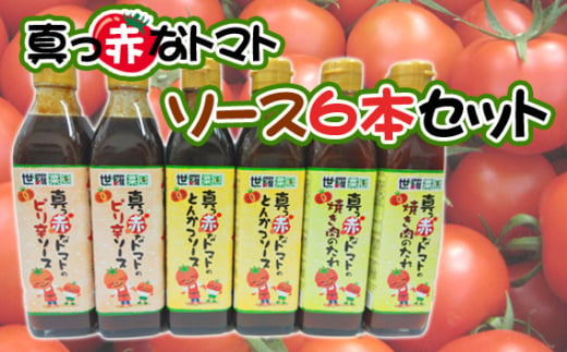 No.290 真っ赤なトマトソース6本セット ／ 調味料 ピリ辛 たれ とまと 酸味 世羅菜園 広島県 1570112 - 広島県世羅町