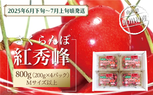 【令和7年産 早期受付】 鮭川村産さくらんぼ ＜紅秀峰＞ フードパック800g（200g×4P） 1567701 - 山形県鮭川村