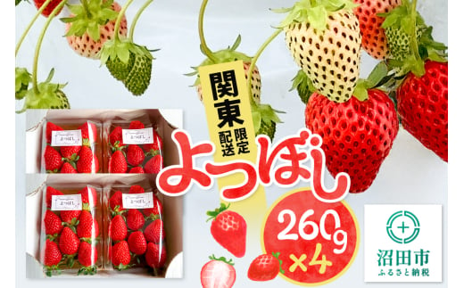 《2025年1月以降発送》関東限定配送 イチゴ よつぼし 約260gパック×4