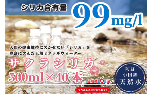 【定期便6ヶ月】阿蘇小国郷の天然水「サクラシリカ」500ml×40本 798699 - 熊本県小国町