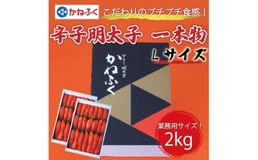 かねふく 1kg 辛子明太子 Lサイズ(1本物)2箱 [a0555] 藤井乾物店 ※配送不可：離島【返礼品】添田町 ふるさと納税