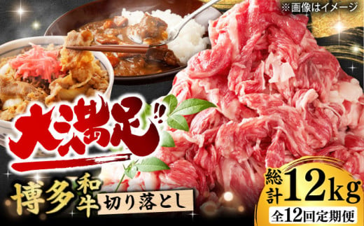 【12回定期便】【たっぷり満腹】博多和牛 切り落とし 1000g（500g×2P） 肉 にく ニク お肉 牛肉 博多和牛 黒毛和牛 赤身 薄切り 切り落とし 肩 バラ 国産 カレー 牛丼 肉じゃが 福岡 化粧箱入り 冷凍 1kg 広川町/株式会社MEAT PLUS [AFBO080] 1527998 - 福岡県広川町