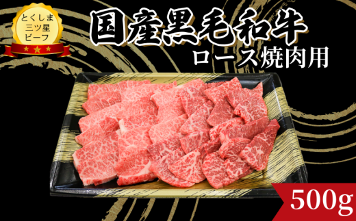 ロース 焼肉用 500g 国産 黒毛和牛 とくしま三ツ星ビーフ 徳島県産 ブランド 和牛 牛肉 ふるさと納税 阿波牛 牛肉 ぎゅうにく 牛 肉 牛肉 国産 黒毛和牛 肉 焼肉 焼き BBQ キャンプ飯 アウトドア おすすめ  ビーフ 大容量 お祝い 誕生日 記念日 プレゼント ギフト  【北海道・東北・沖縄・離島への配送不可】 1568539 - 徳島県小松島市