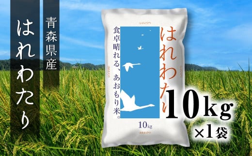 青森県産 はれわたり 10kg 10kg×1袋 令和6年産 米 精米 白米 お米 青森県産