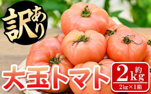 s613 《期間・数量限定》＜訳あり＞大玉トマト(約2kg) 鹿児島 国産 九州産 野菜 やさい 新鮮 とまと トマト 訳あり 規格外 ご家庭用 産地直送 サラダ 【吉祥庵園芸】 1558340 - 鹿児島県さつま町