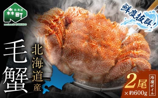 【先行予約】北海道・噴火湾産冷凍ボイル毛ガニ約600g前後×2尾 毛ガニ 毛カニ 蟹 かに かにみそ 海産物 海鮮 森町 mr1-0770
